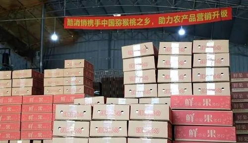 酷消銷再獲信任，金融中介服務將助力天水花牛蘋果營銷新篇章